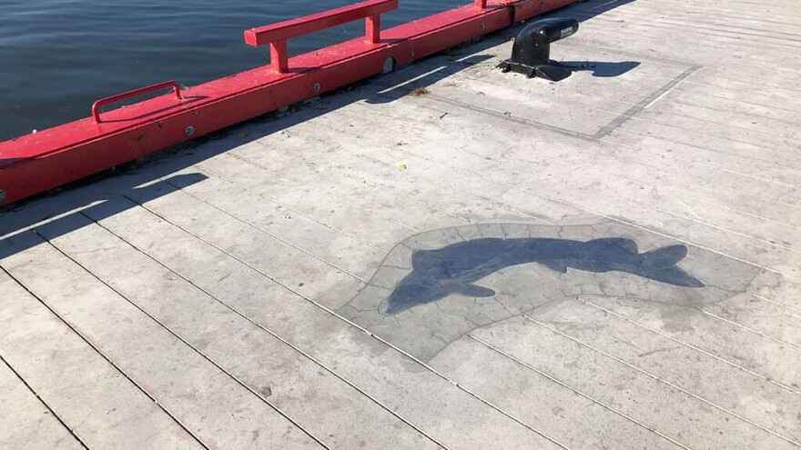 Quai 34 rénové à Lachine. Détail de poisson au sol. Crédit photo – Karim Moore