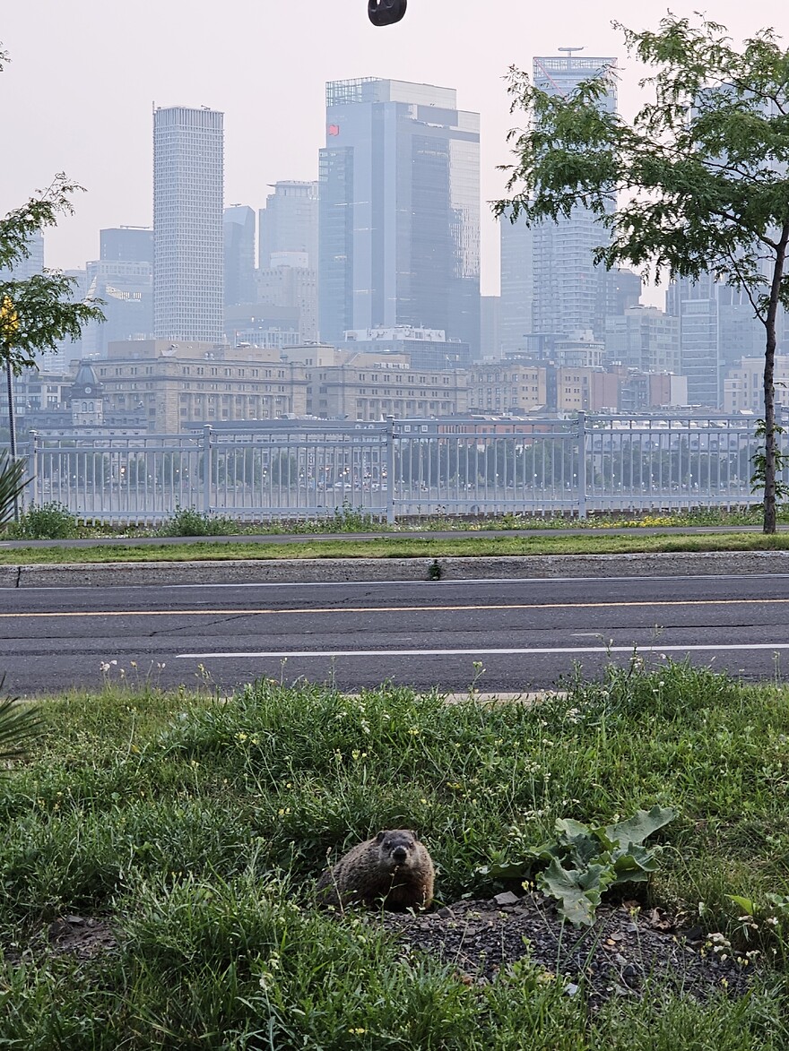 20250726_202116