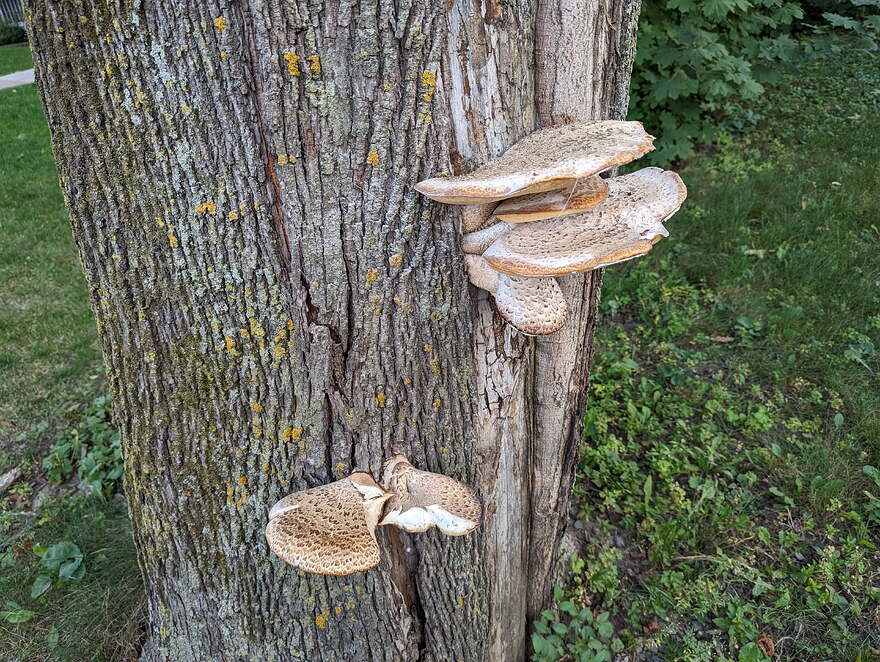 AGC_20250917_224203966