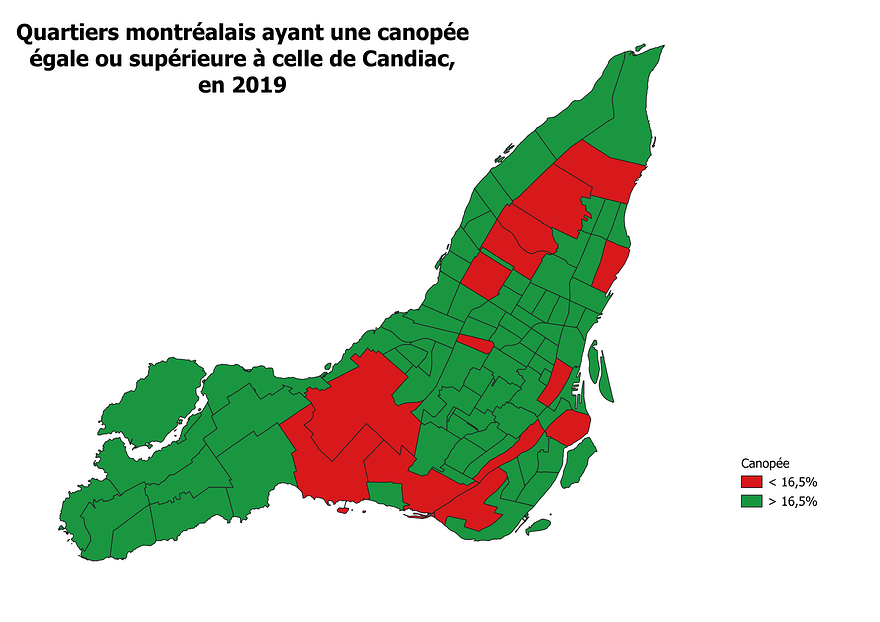 canopee_montreal