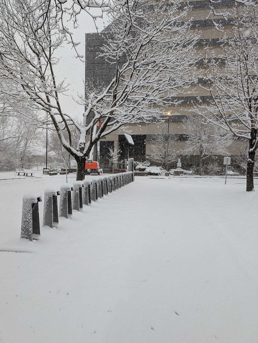 PXL_20250408_105146986.MP