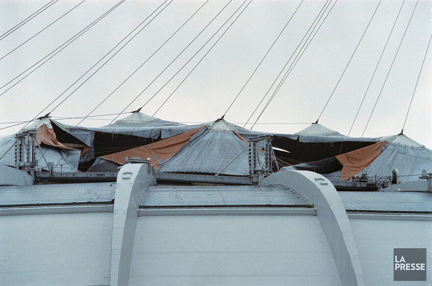 06M_P833S5D1991-0239_001