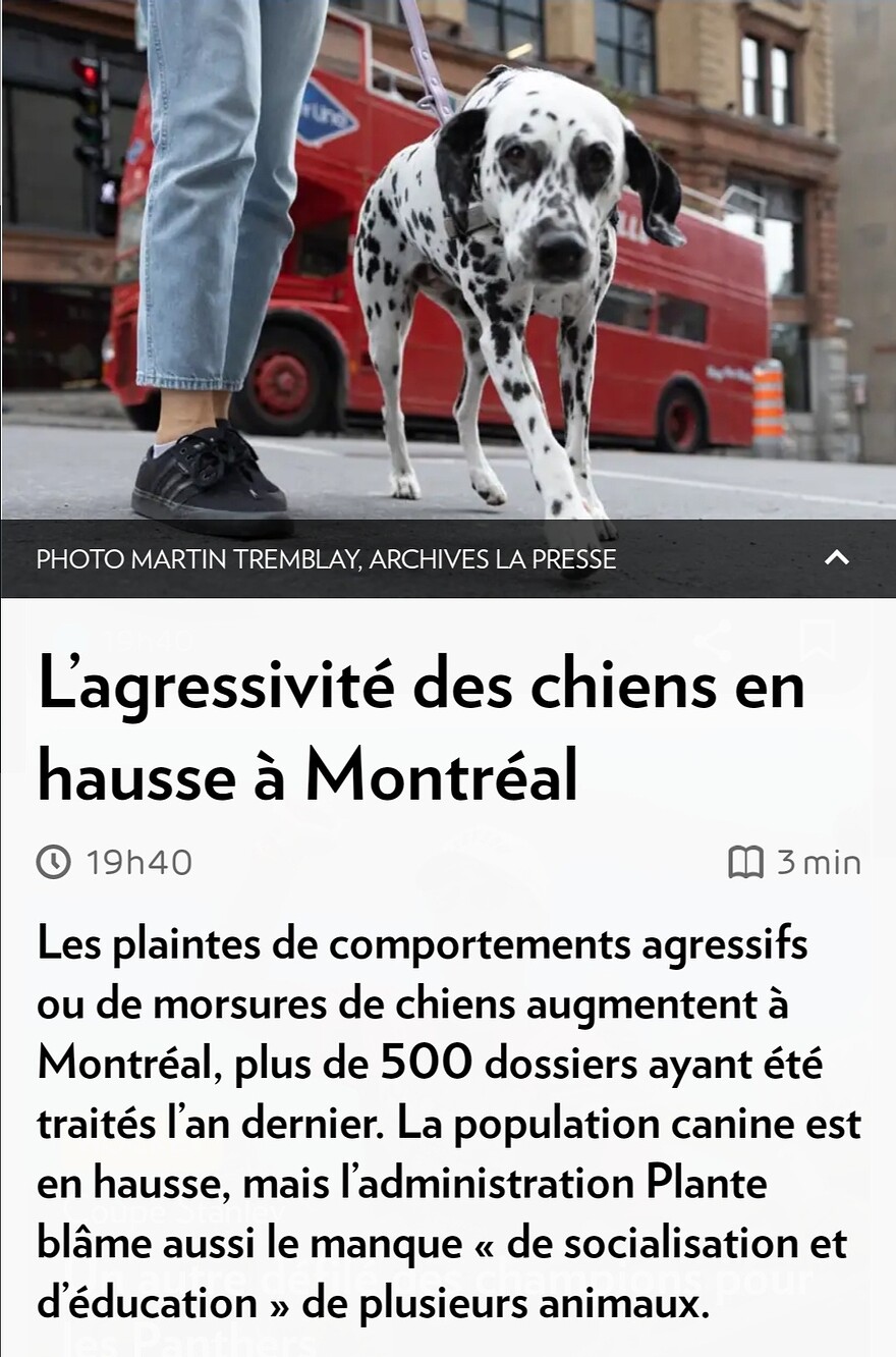 Screenshot_20250622_202612_La Presse