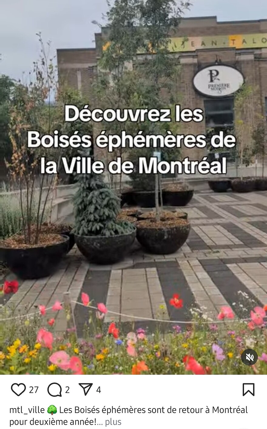 Screenshot_20250711_124117_Instagram