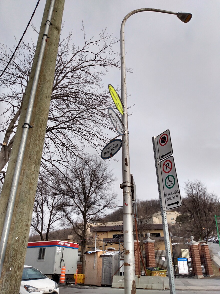 IMG_20250317_161151593_HDR