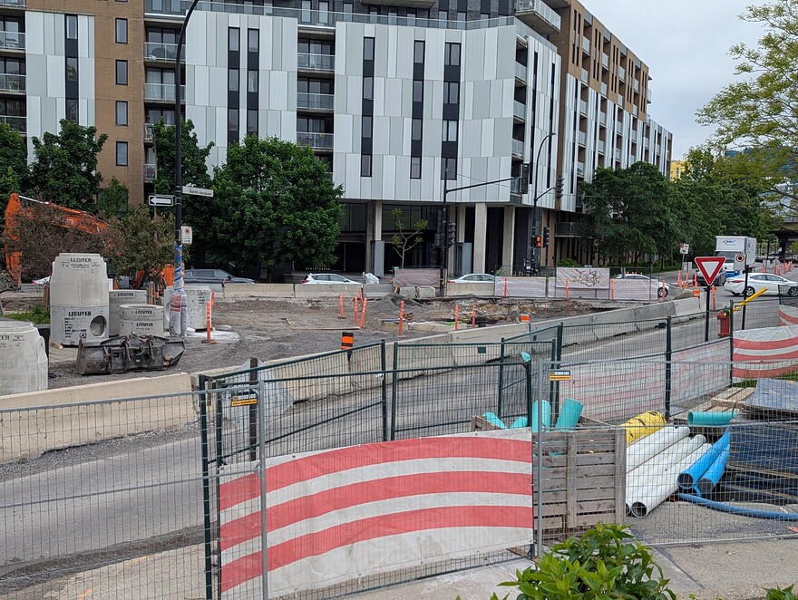 PXL_20250531_125721219.PORTRAIT.ORIGINAL