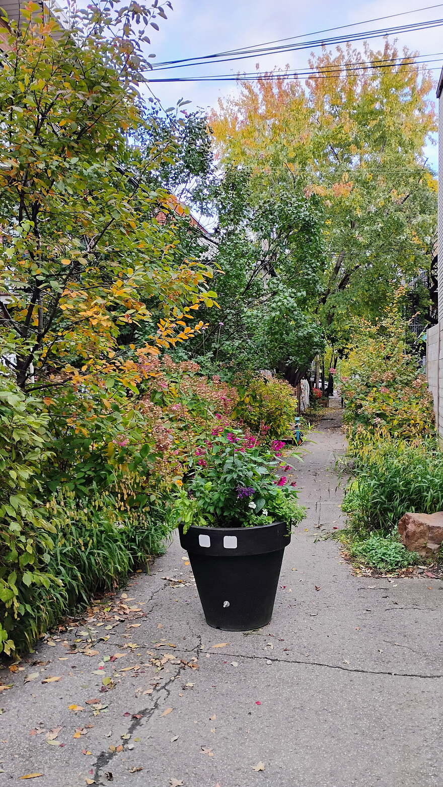 IMG_20251024_164002597_HDR_AE