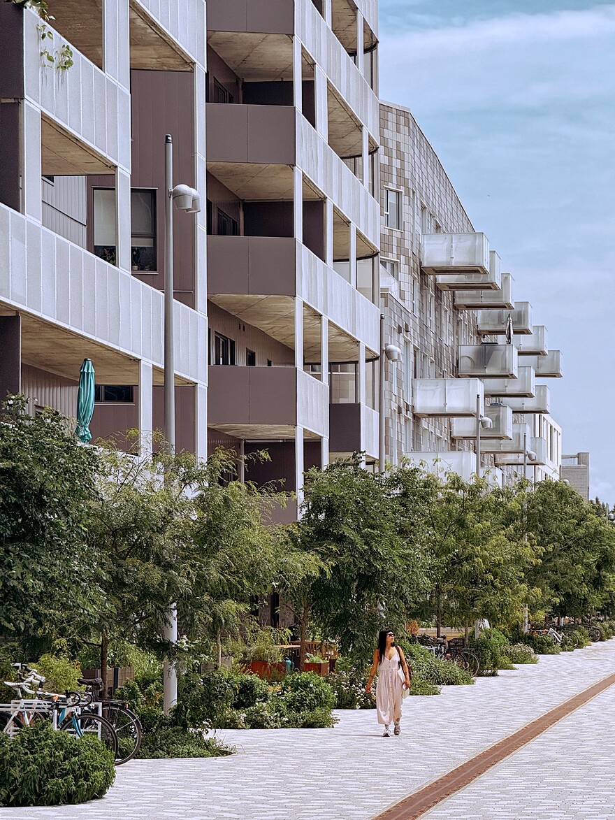 IMG_0064_SnapseedCopy