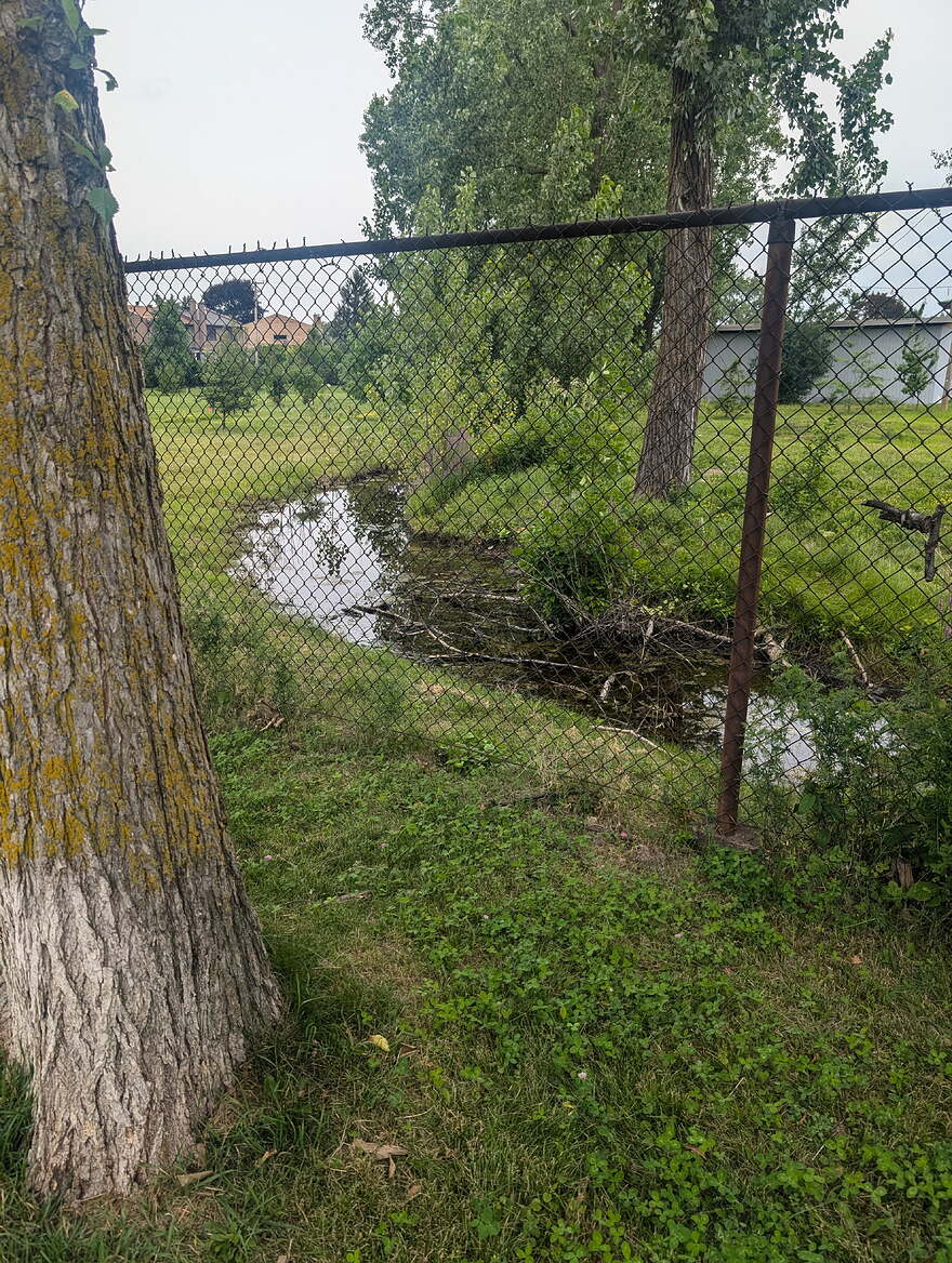 PXL_20240716_193932923.MP