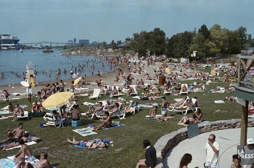 06M_P833S5D1991-0284_001