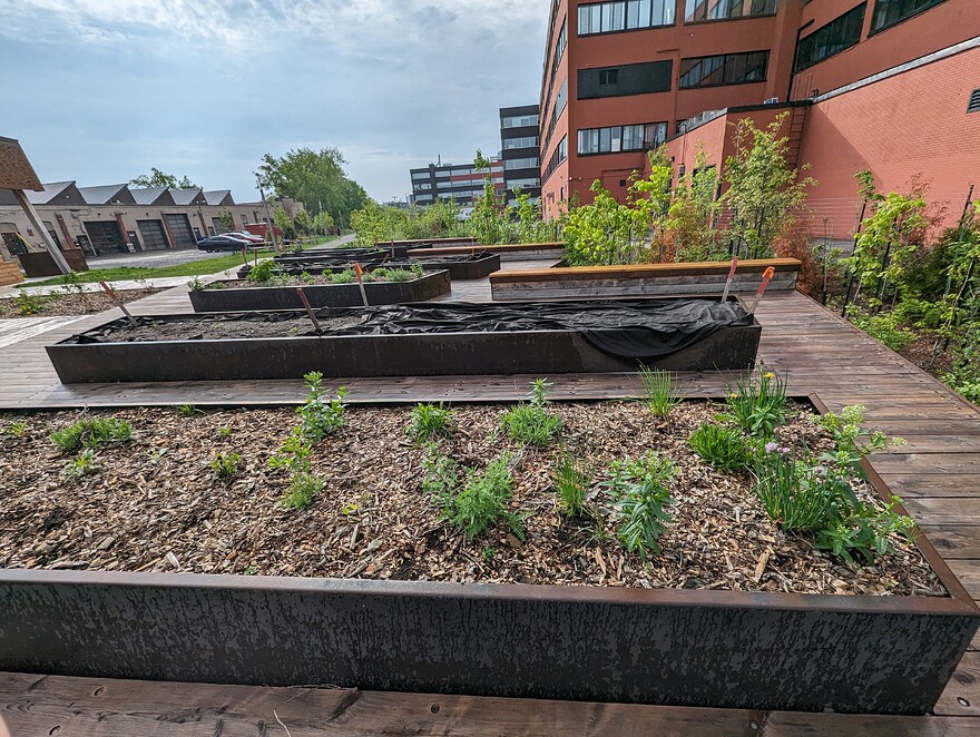 AGC_20250517_211858330