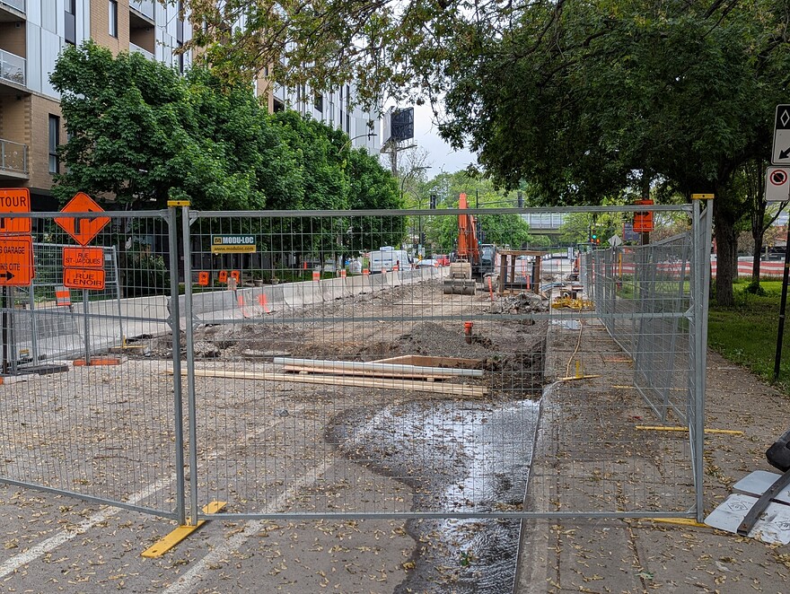 PXL_20250531_125550525.PORTRAIT.ORIGINAL