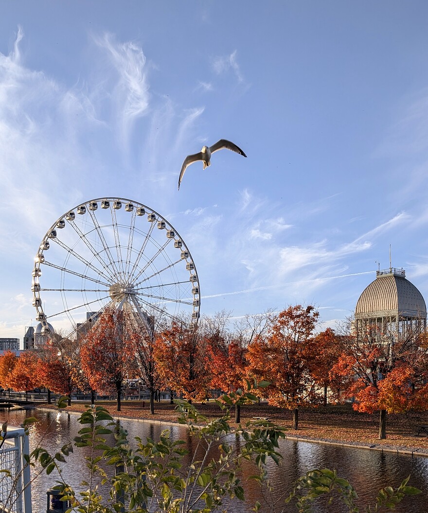 PXL_20251017_210706312~2