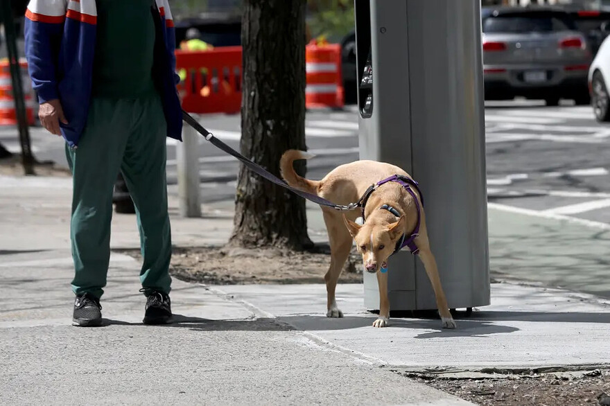 At least one Upper West Sider thinks the 5G tower is an indispensable part of the local landscape. © G.N.Miller/NYPost