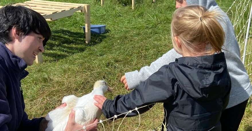 À la Ferme Ambrosia, on peut rencontrer de sympathiques canards au pâturage.