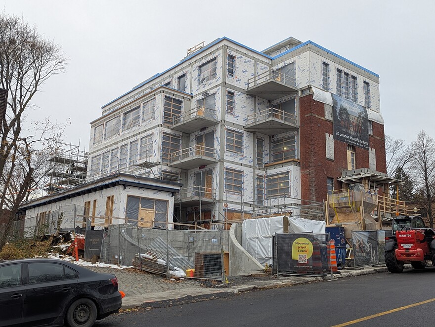 PXL_20251125_130001079.PORTRAIT.ORIGINAL