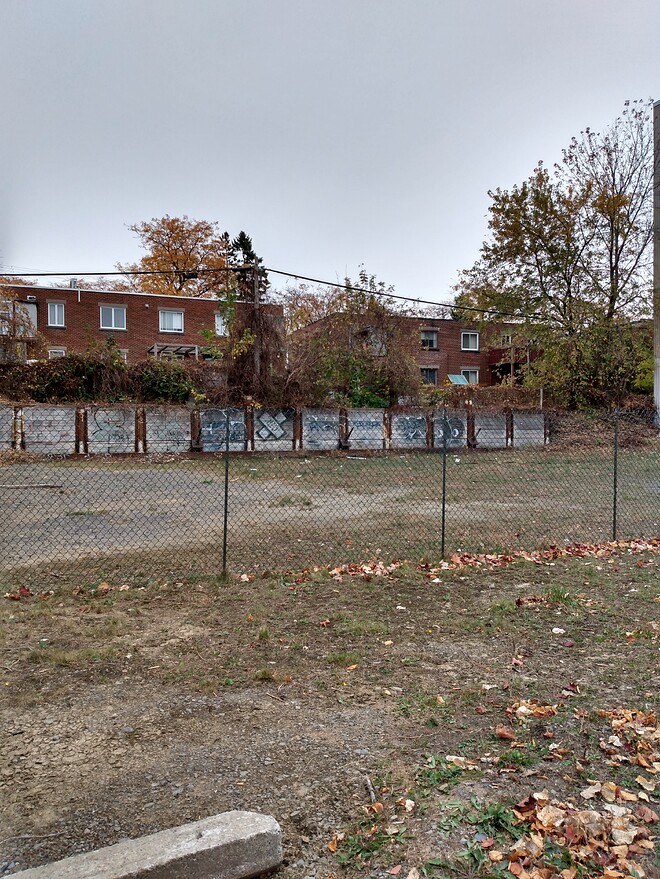 IMG_20241029_134328257_HDR