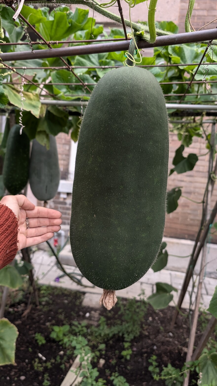 PXL_20250830_103408244