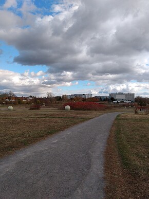 IMG_20241027_142028151