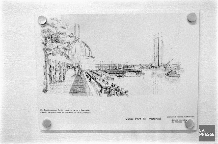 06M_P833S5D1985-0361_023