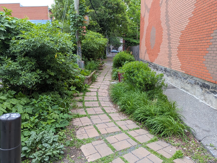 PXL_20250531_132038435