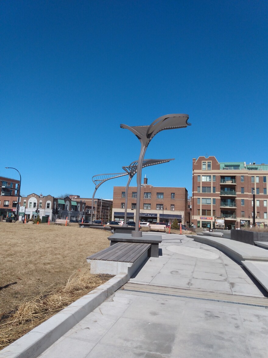 IMG_20250321_134457851