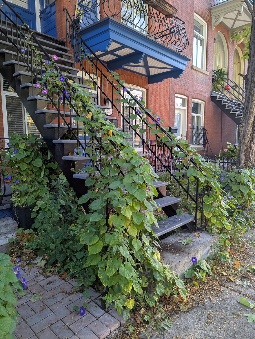 PXL_20250905_125948317