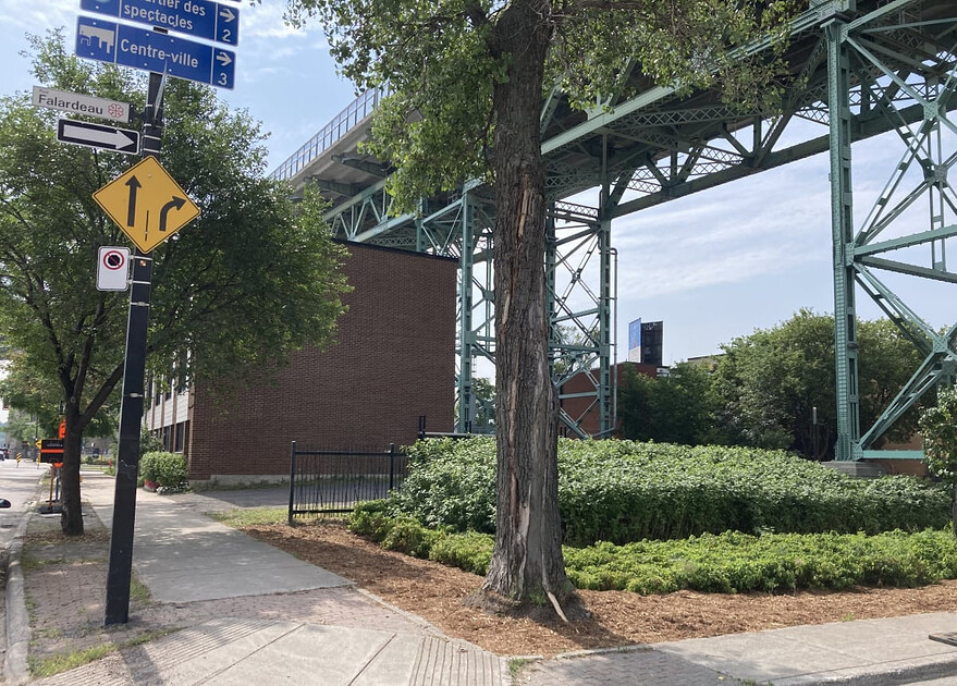 Terrain avant les travaux