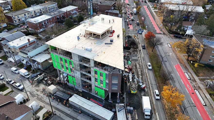 DJI_20251106113838_0252_D