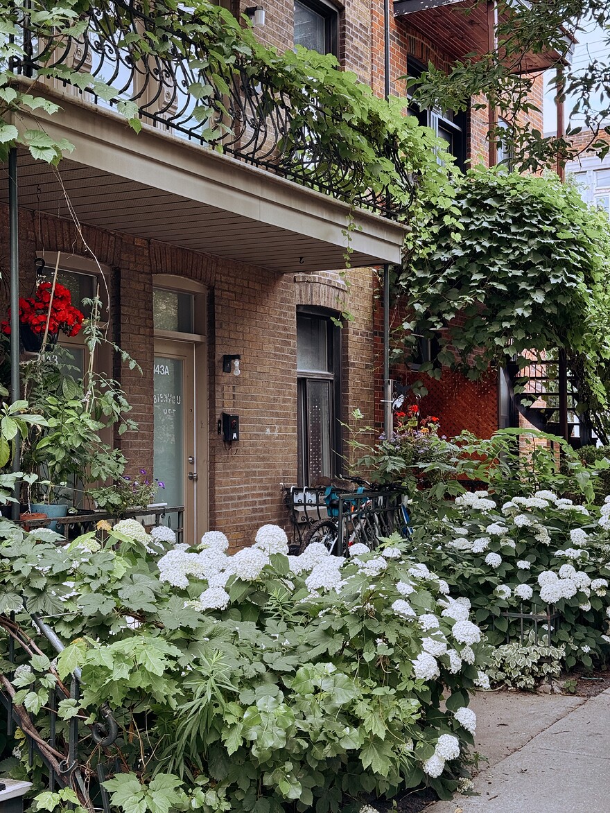 IMG_0069_SnapseedCopy