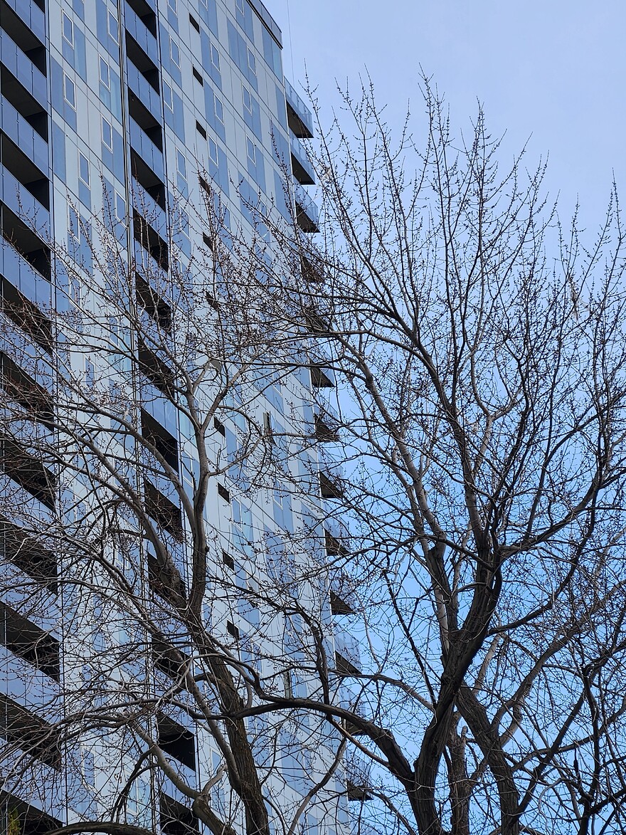 20241117_133839