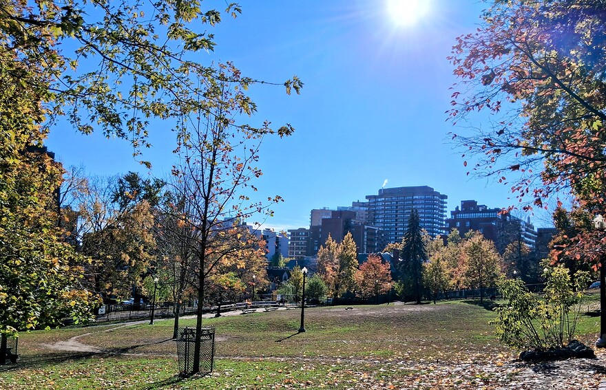 20251029_125616-EDIT