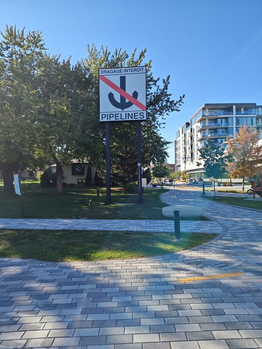 IMG_20251002_153952257