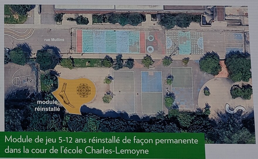 PXL_20251025_162920172 - 1