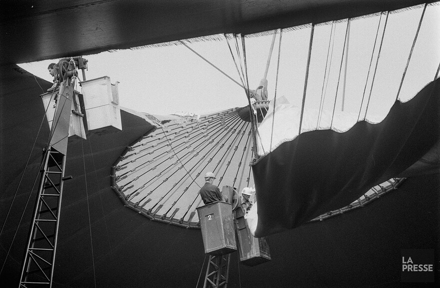 06M_P833S5D1988-0332_004