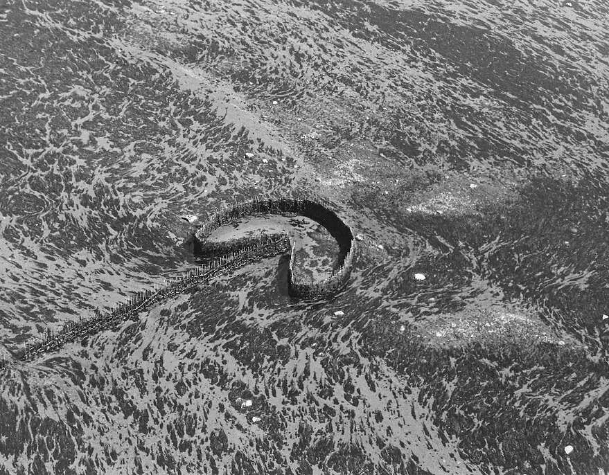 La pêche à la fascine à l’Île-Verte, en 1976