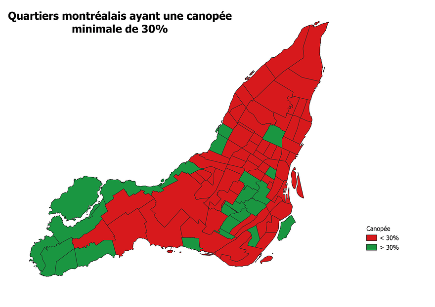 canopee_montreal_30