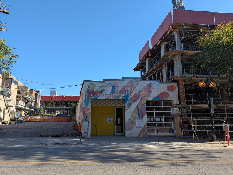 PXL_20251005_132048712