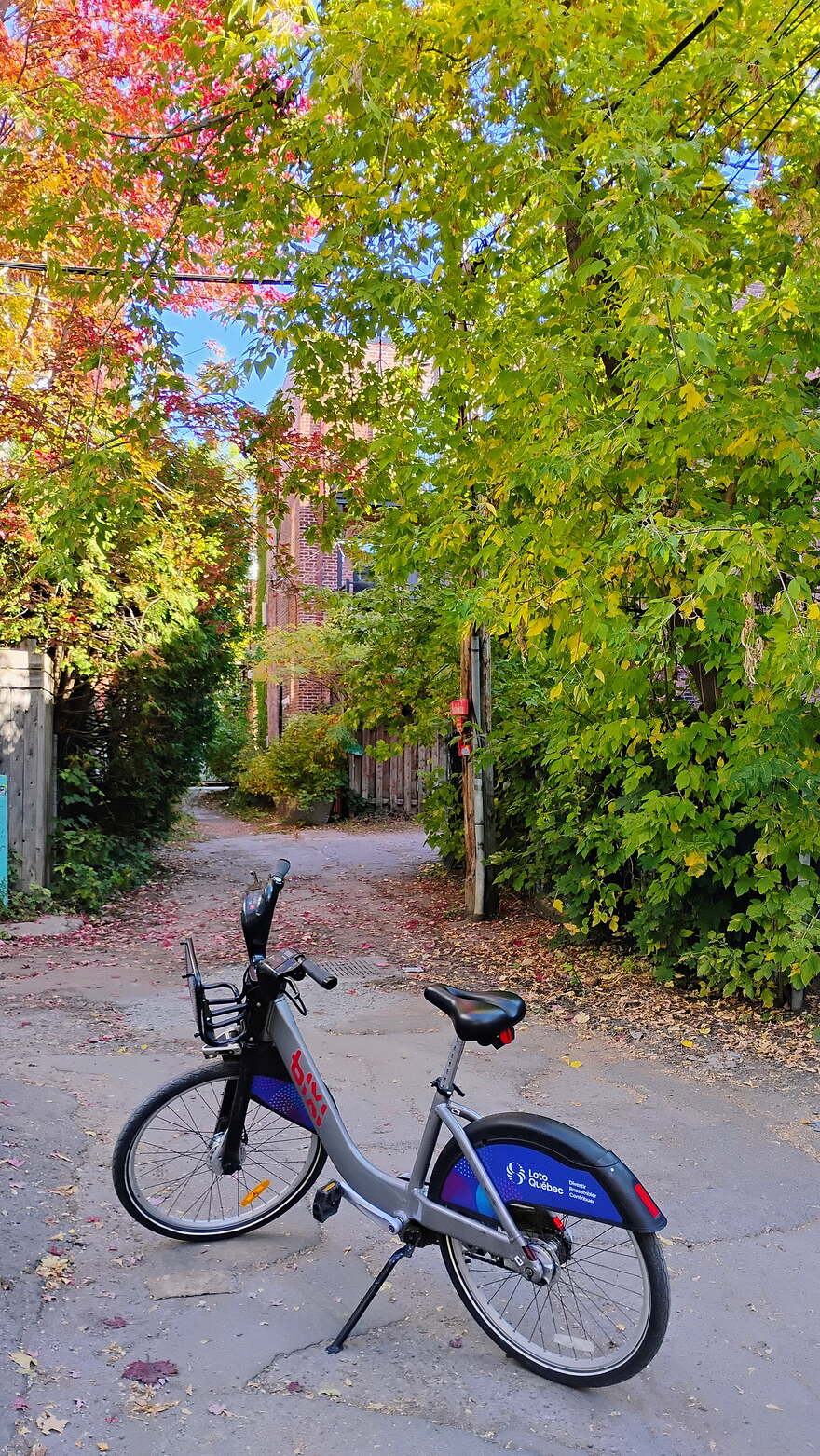 IMG_20251017_102442273_HDR_AE