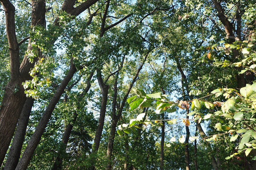 DSC_3811