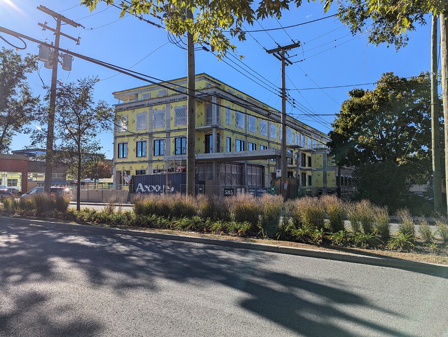 PXL_20241012_190450704