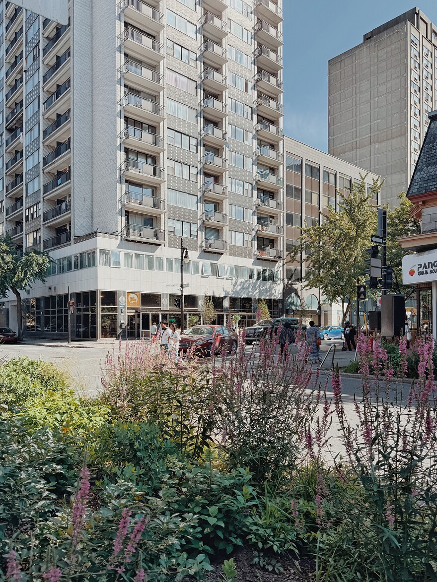 IMG_0035_SnapseedCopy_SnapseedCopy