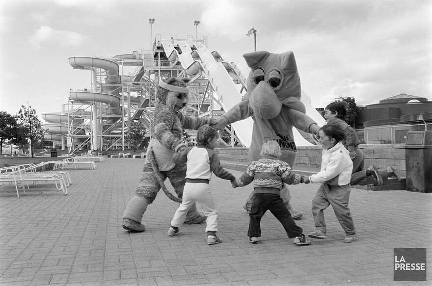 06M_P833S5D1986-0255_019