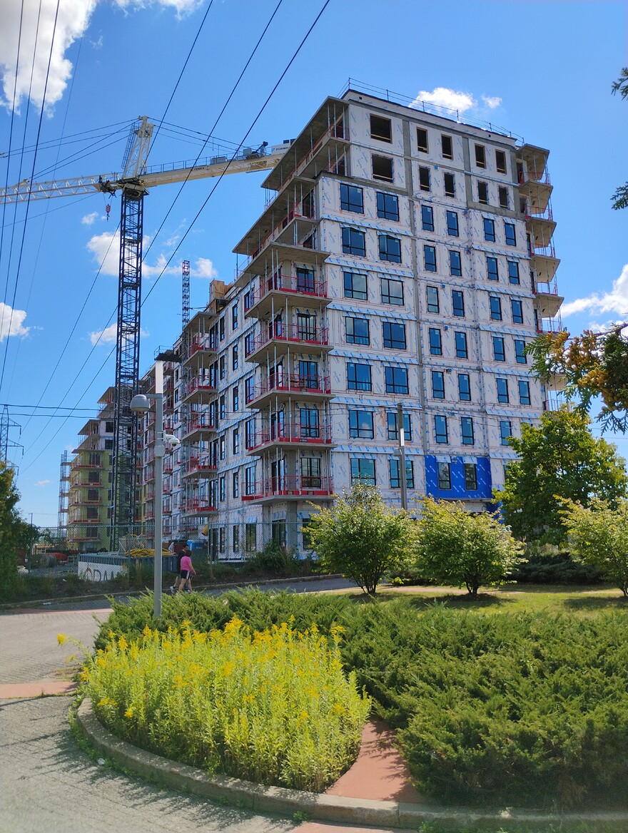 IMG_20250831_135448640_BURST005