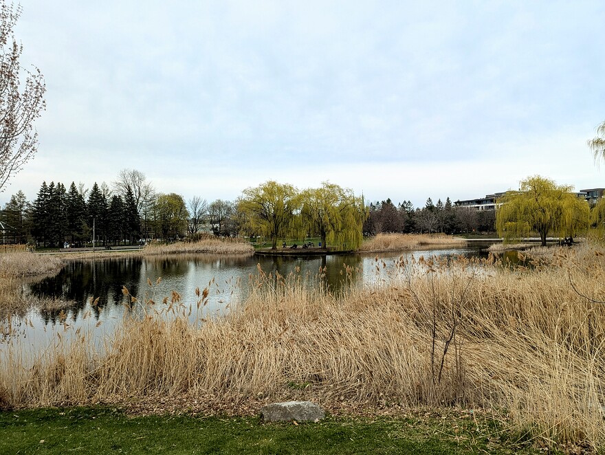 PXL_20250501_220838449~2