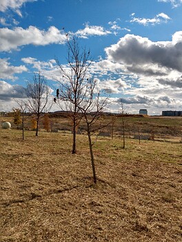 IMG_20241027_140810994_HDR