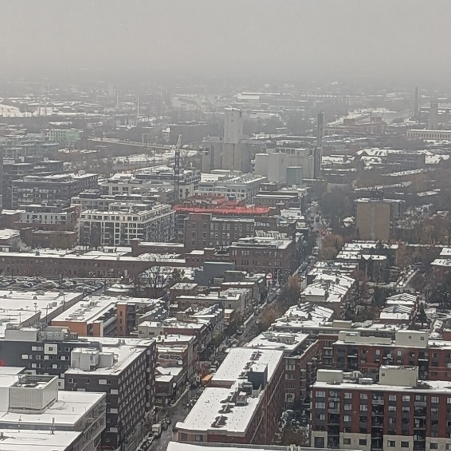 PXL_20251113_150959304.PORTRAIT.ORIGINAL