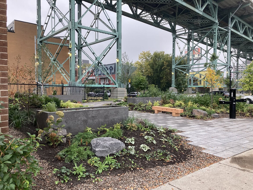 Terrain nouvellement aménagé