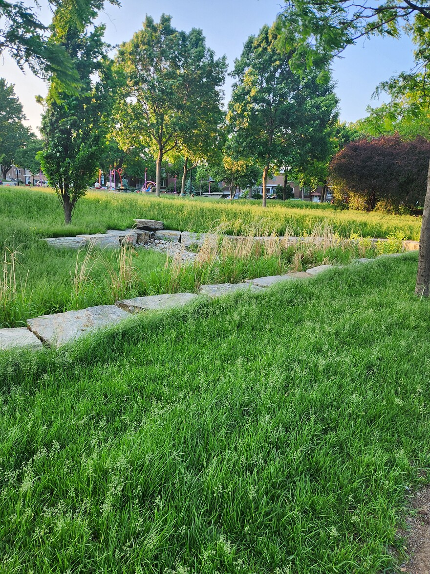 20250604_192731