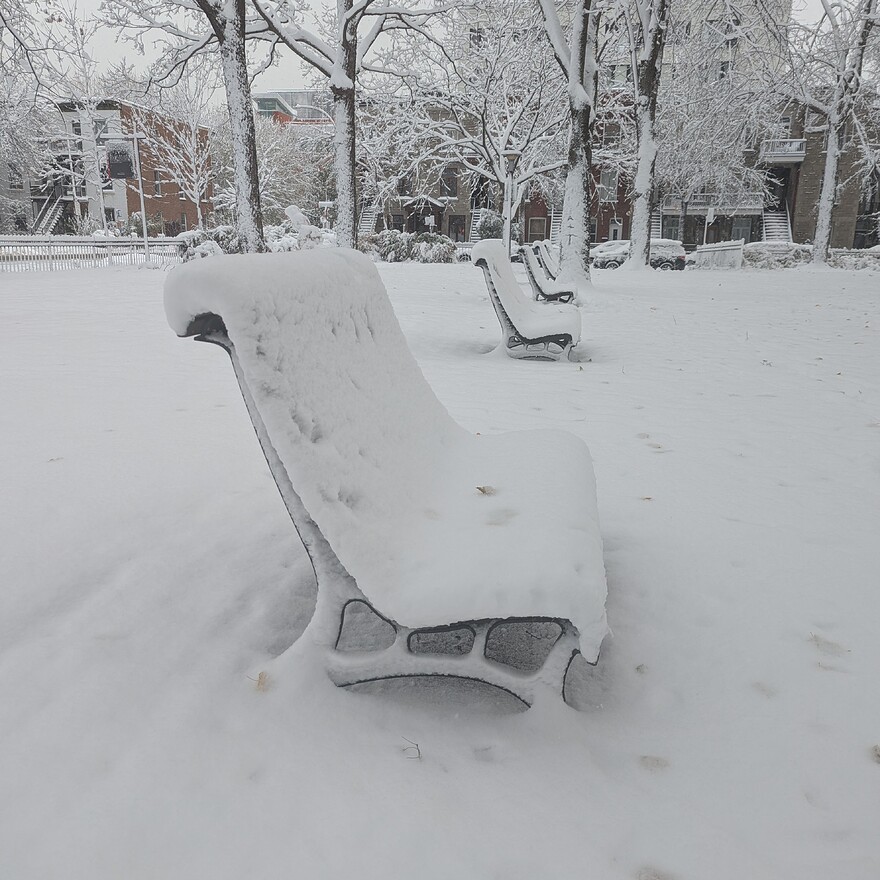 PXL_20251111_132438134